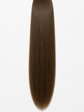 Hazelnut #6 — The Butterfly Collection